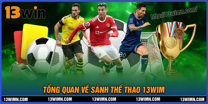 Tổng quan về sảnh cá cược thể thao 13wim Tổng quan về sảnh cá cược thể thao 13wim
